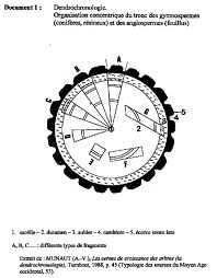 Vente maison Albi. La dendrochronologie, explication